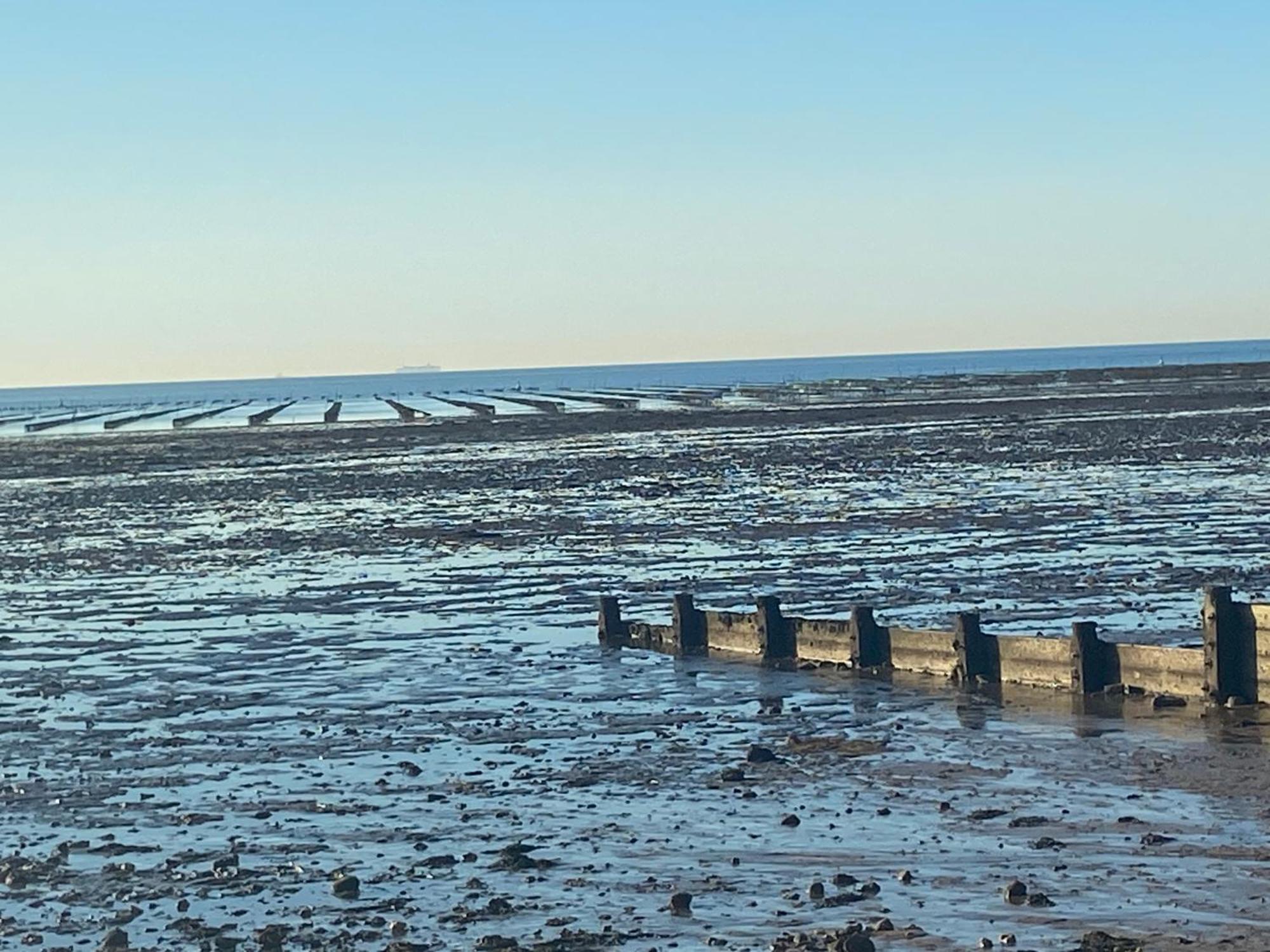 Bright Suite Whitstable Dış mekan fotoğraf
